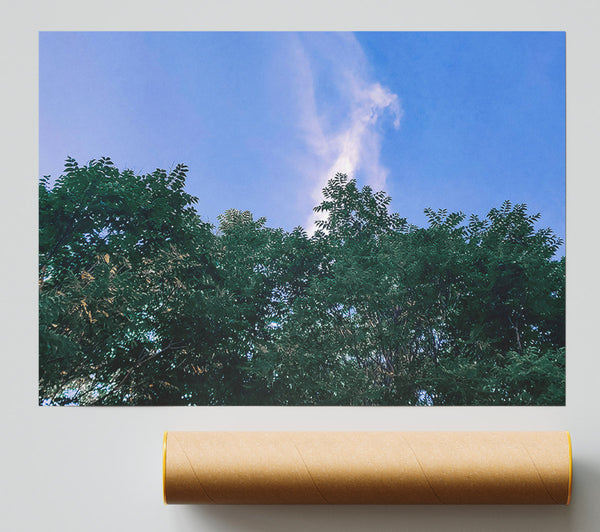 Azure Canopy Dream Print