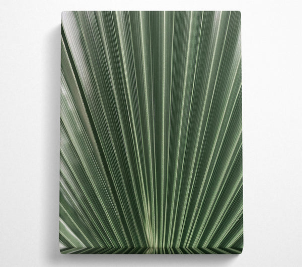  A Canvas Print of Emerald Palm Fan Canvas Art