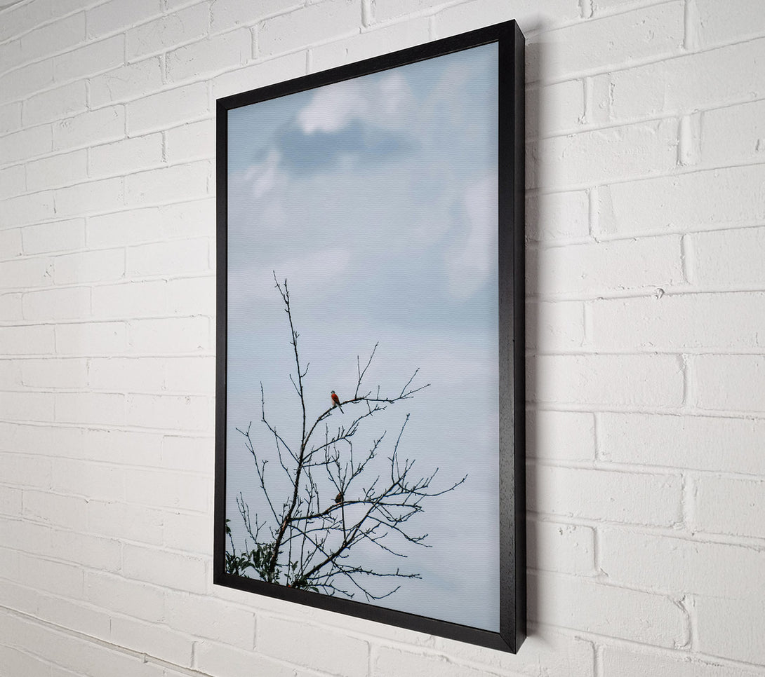  A Canvas Print of Red Bird On Branch Canvas Print