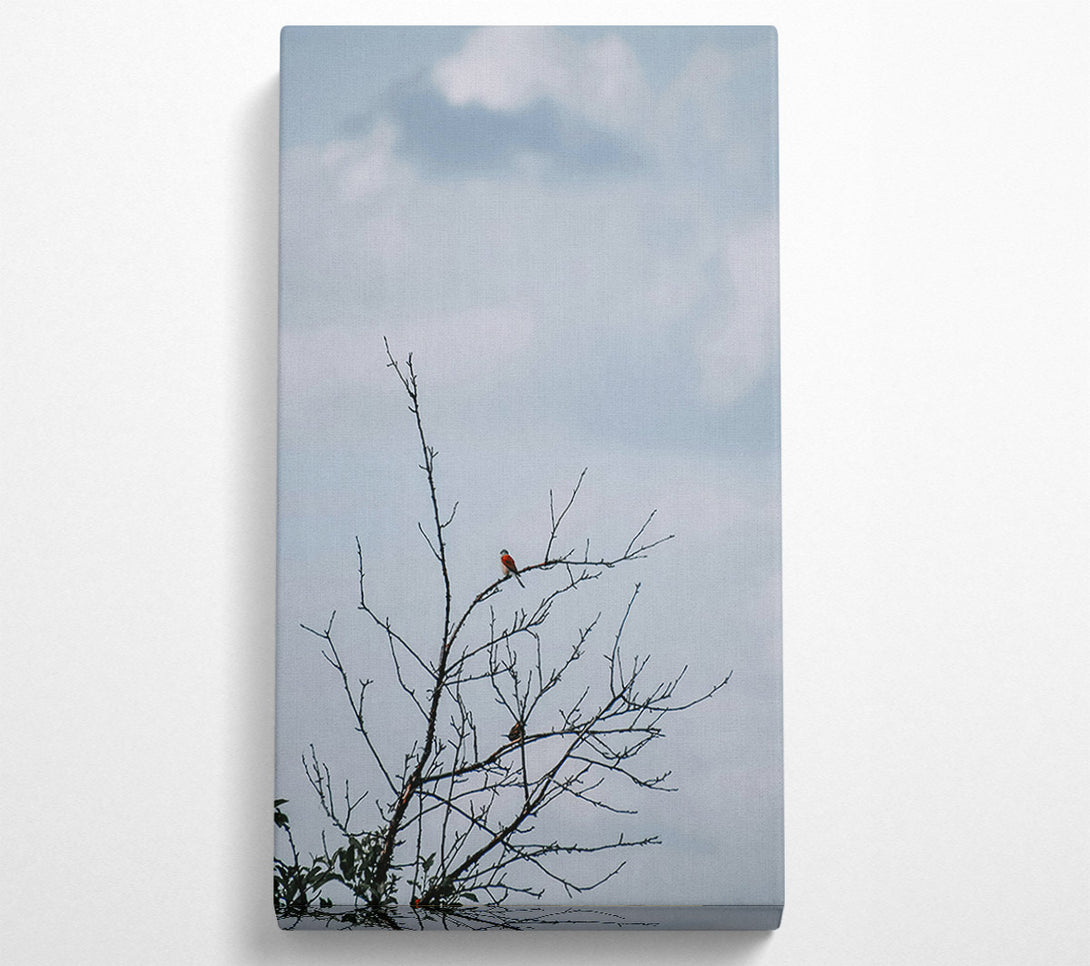  A Canvas Print of Red Bird On Branch Canvas Print