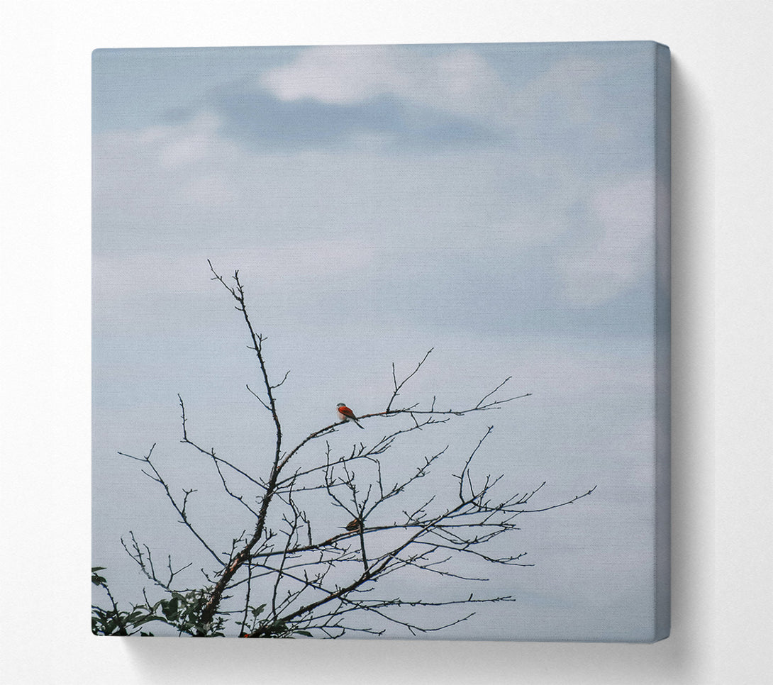  A Canvas Print of Red Bird On Branch Canvas Print
