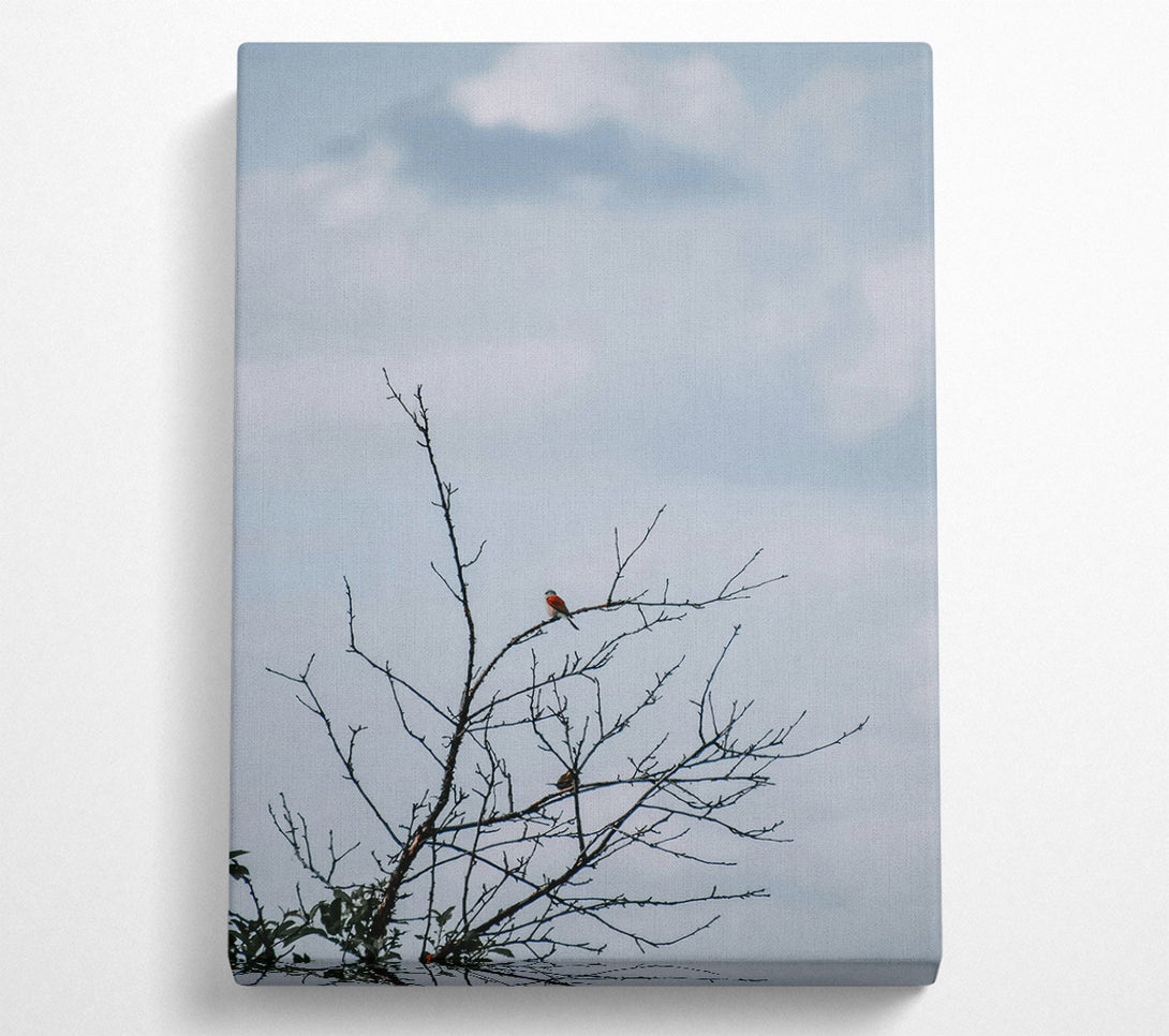  A Canvas Print of Red Bird On Branch Canvas Print