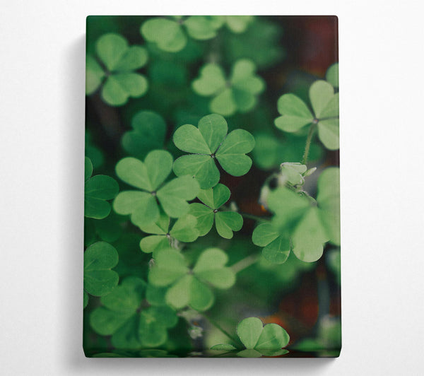 A Canvas Print of Emerald Clover Field Canvas Wall Art