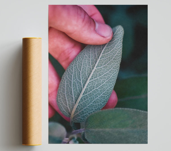 Silver Green Veins Print