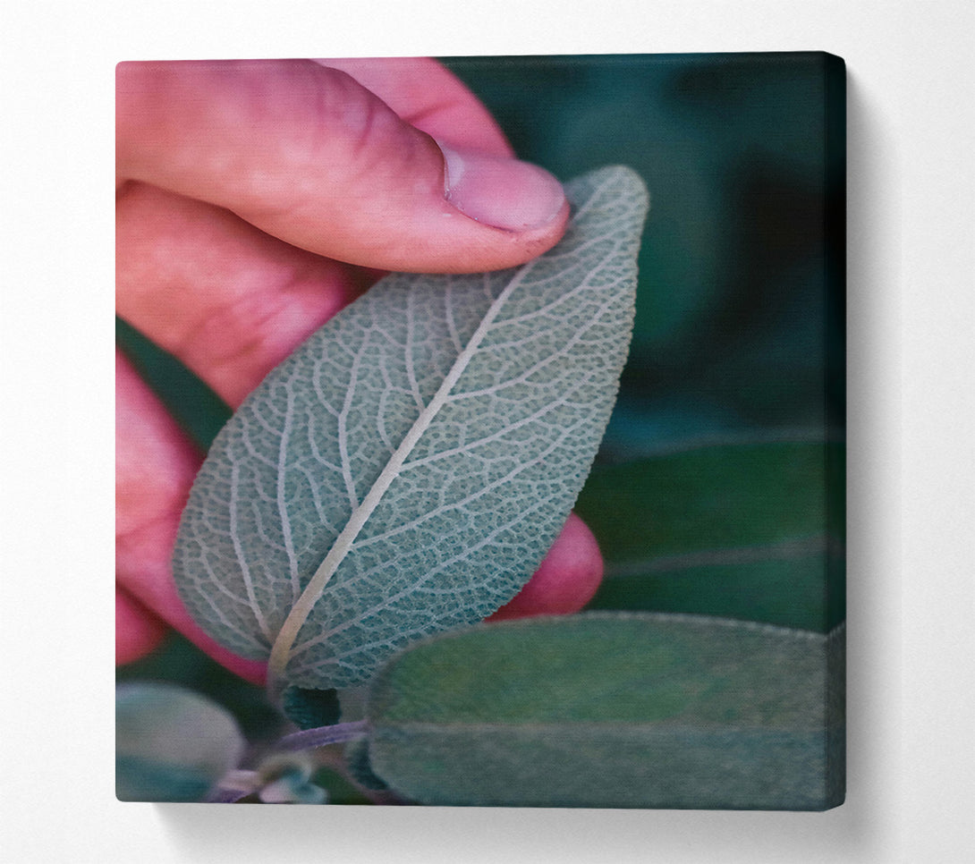  A Canvas Print of Silver Green Veins Canvas Art