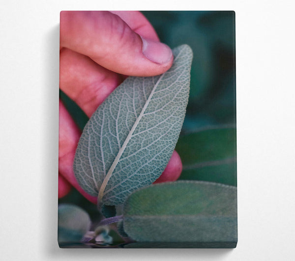  A Canvas Print of Silver Green Veins Canvas Art