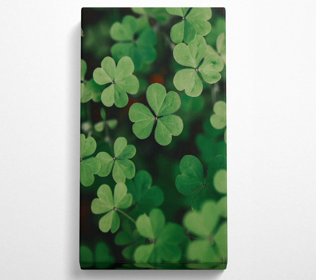  A Canvas Print of Emerald Clover Field Canvas Print