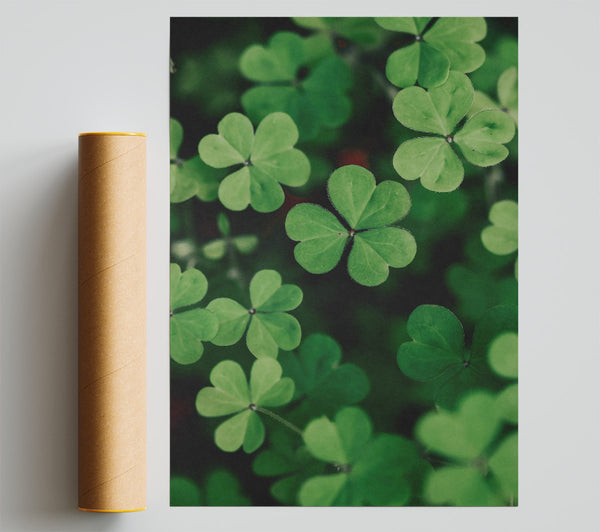 Emerald Clover Field Giclee Print