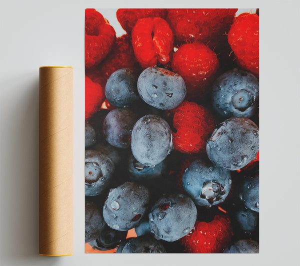 Crimson And Blue Berries Print