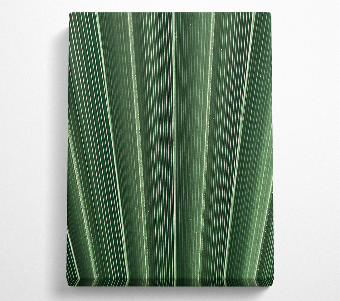  A Canvas Print of Emerald Palm Lines Canvas Art