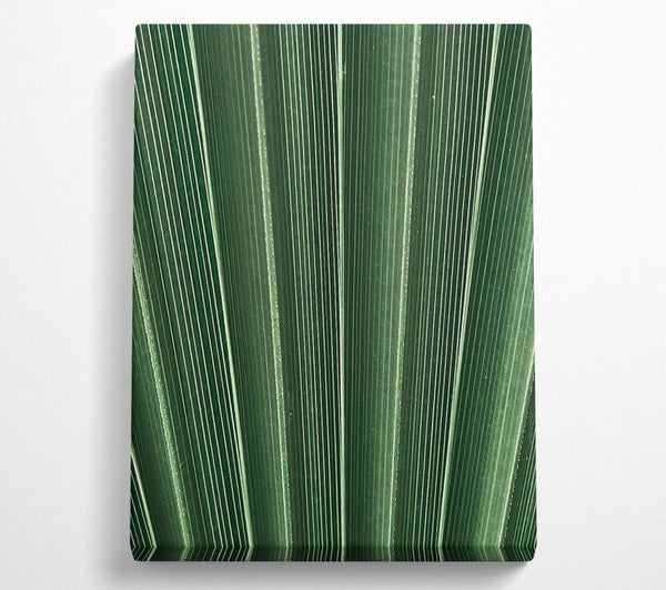  A Canvas Print of Emerald Palm Lines Canvas Art
