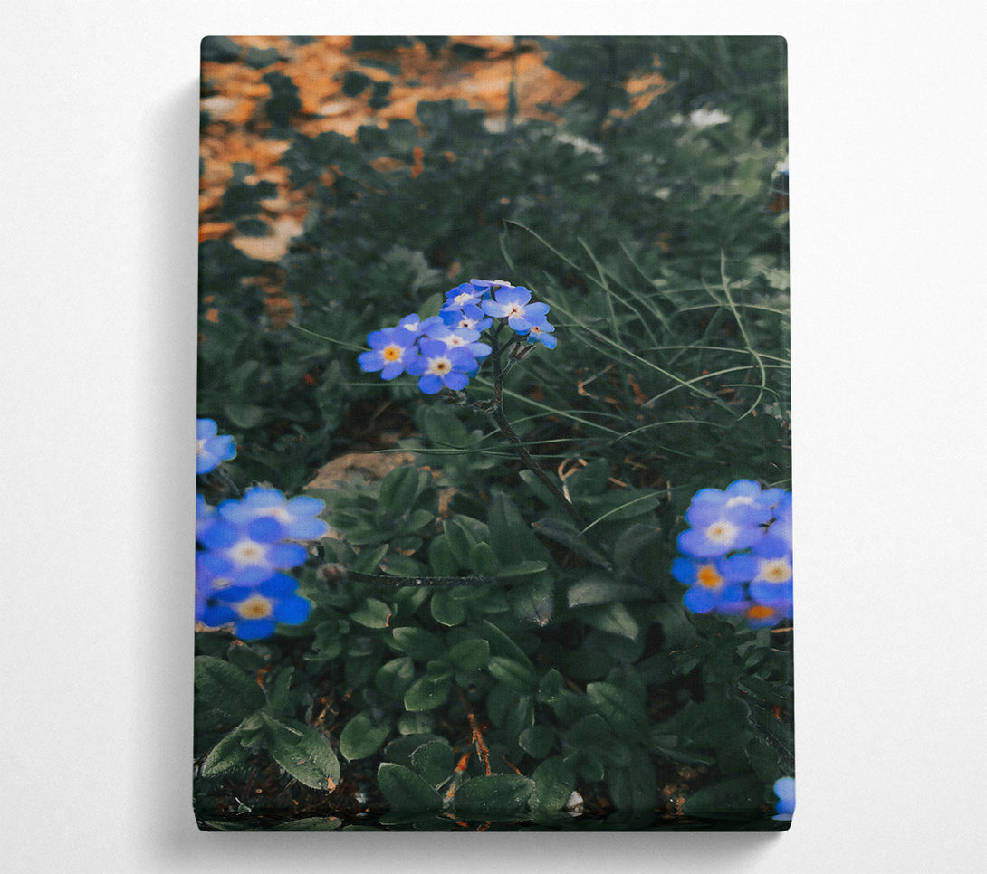  A Canvas Print of Blue Bloom In Green Canvas Art