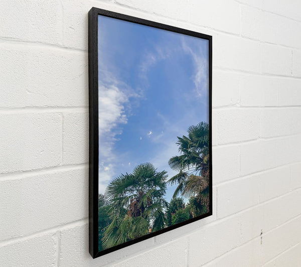 Azure Sky Palms