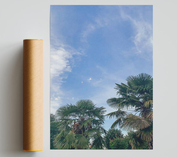 Azure Sky Palms Print