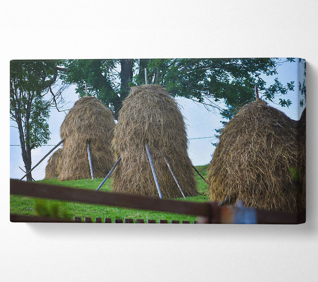  A Canvas Print of Golden Haystacks In Green Canvas Wall Art