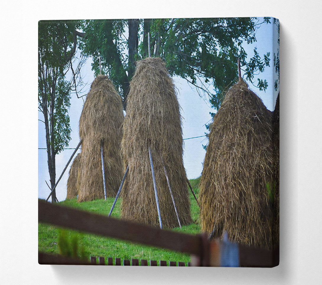  A Canvas Print of Golden Haystacks In Green Canvas Wall Art