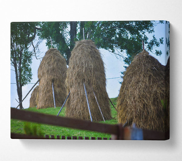 A Canvas Print of Golden Haystacks In Green Canvas Wall Art