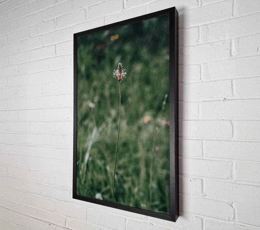  A Canvas Print of Green, White And Red Bloom Canvas Wall Art