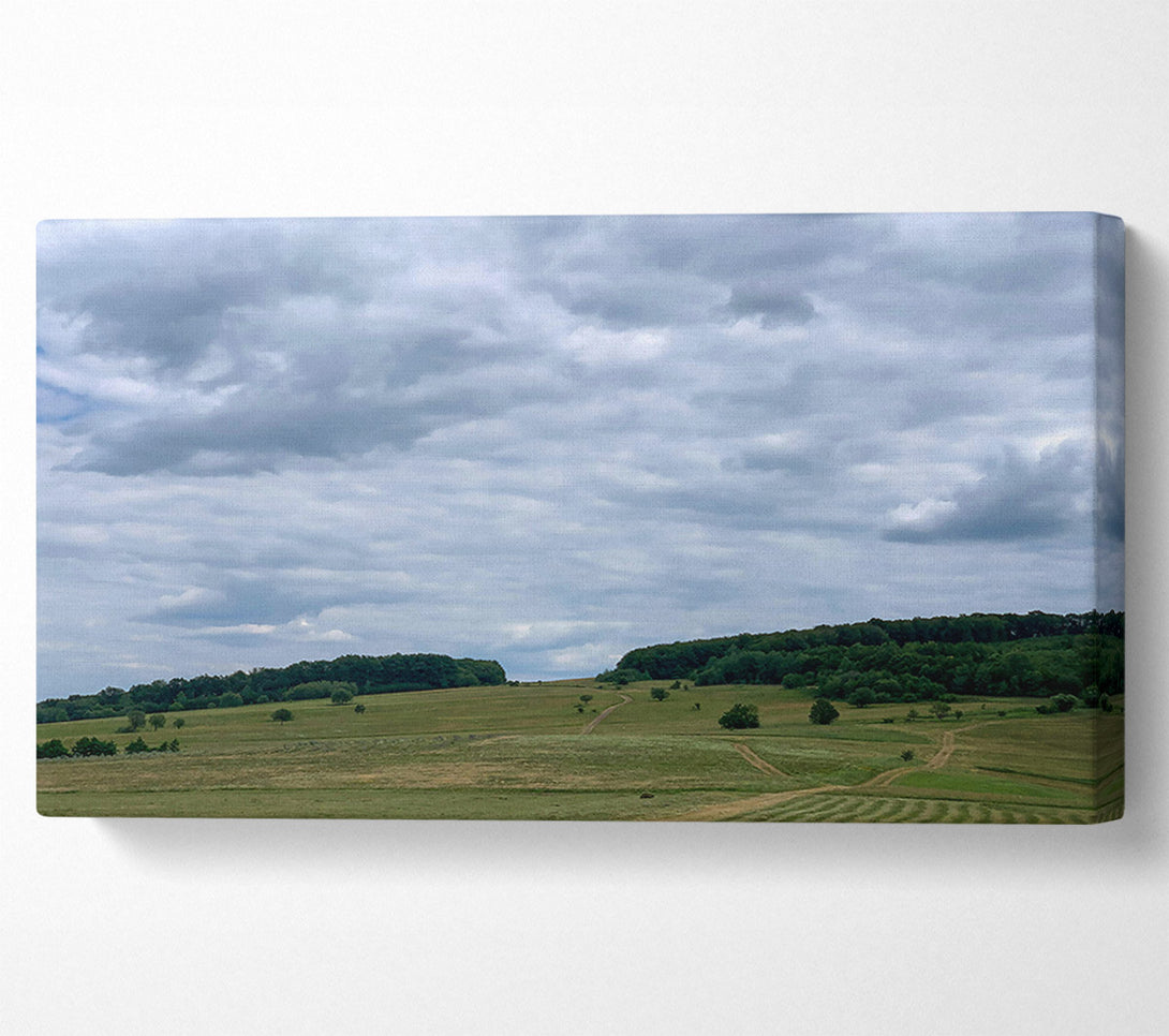  A Canvas Print of Gray Skies Over Green Fields. Canvas Print