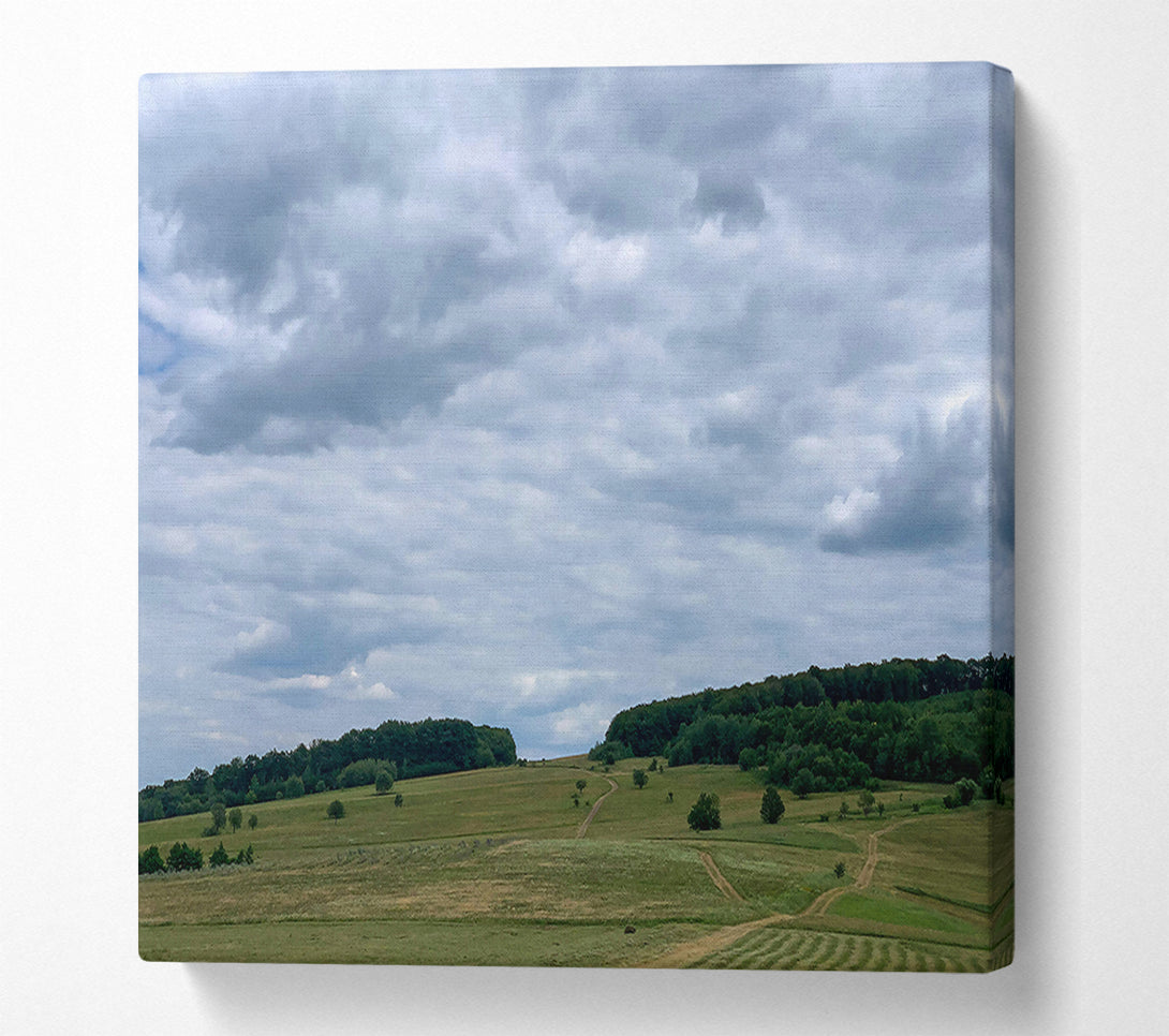  A Canvas Print of Gray Skies Over Green Fields. Canvas Print