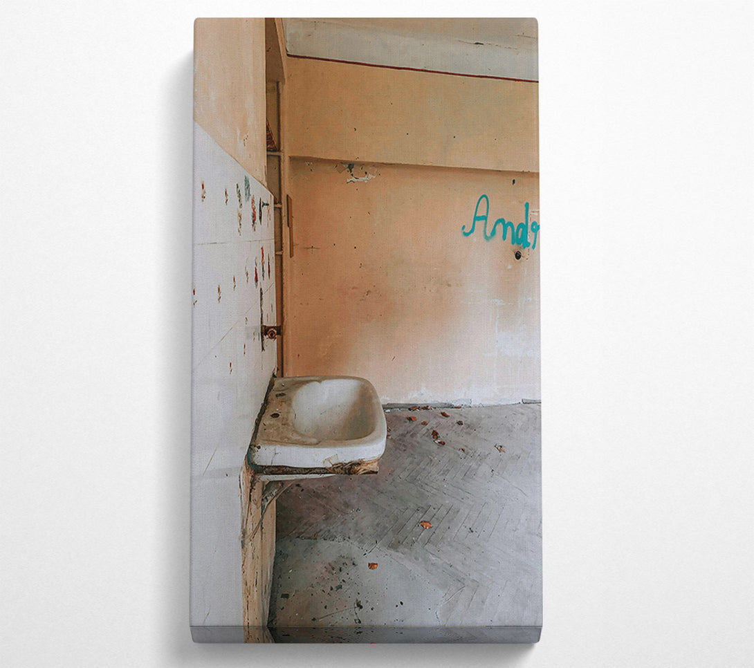  A Canvas Print of Forgotten Peach Sink Canvas Art
