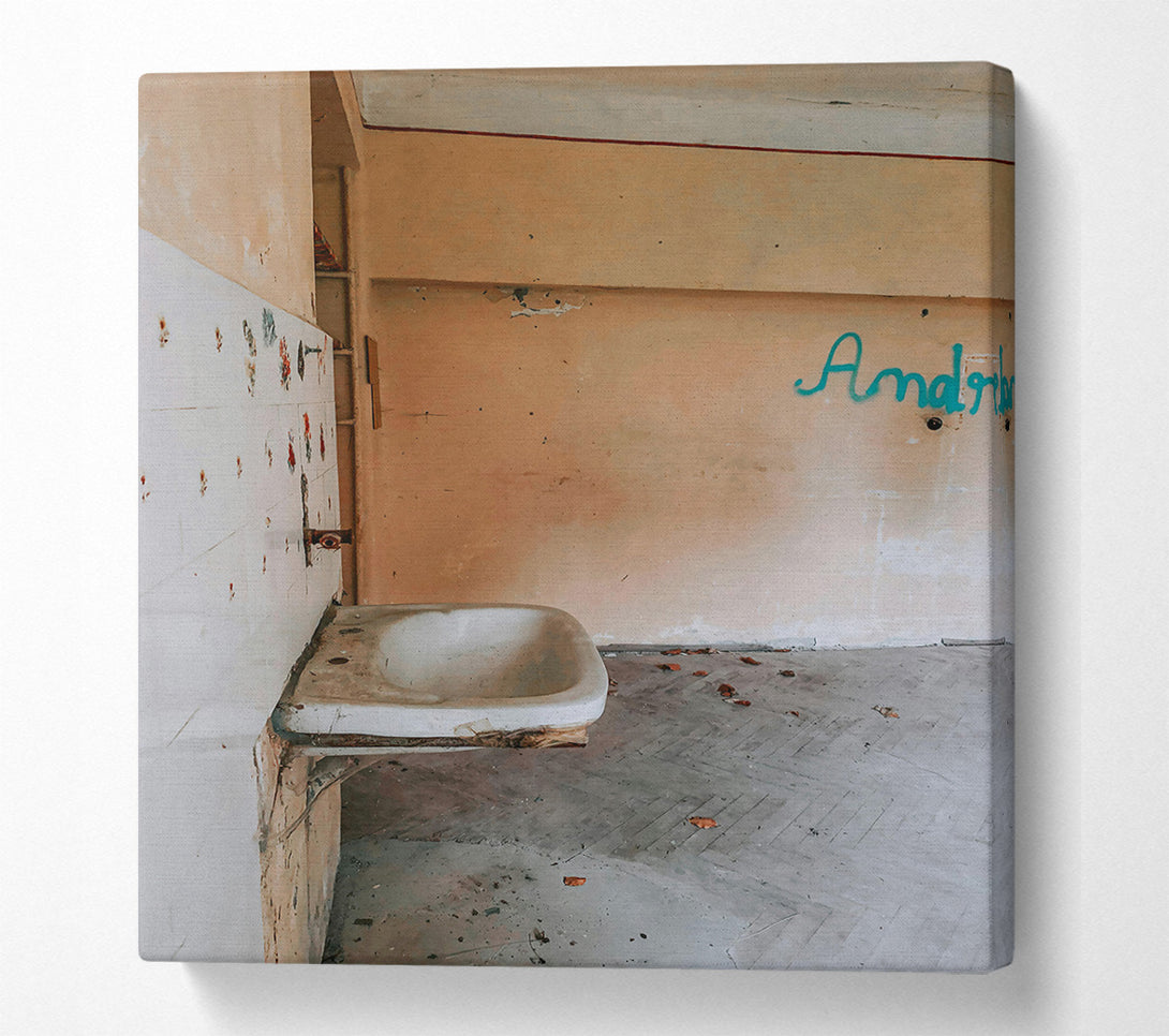  A Canvas Print of Forgotten Peach Sink Canvas Art