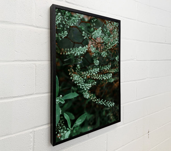Green Blooms On Wire