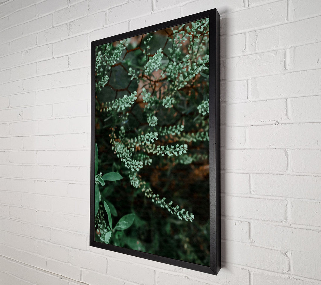 A Canvas Print of Green Blooms On Wire Canvas Art