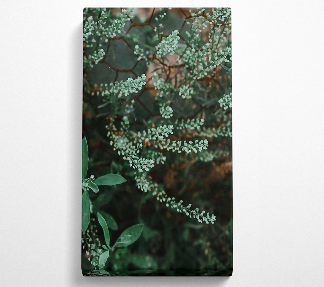  A Canvas Print of Green Blooms On Wire Canvas Art