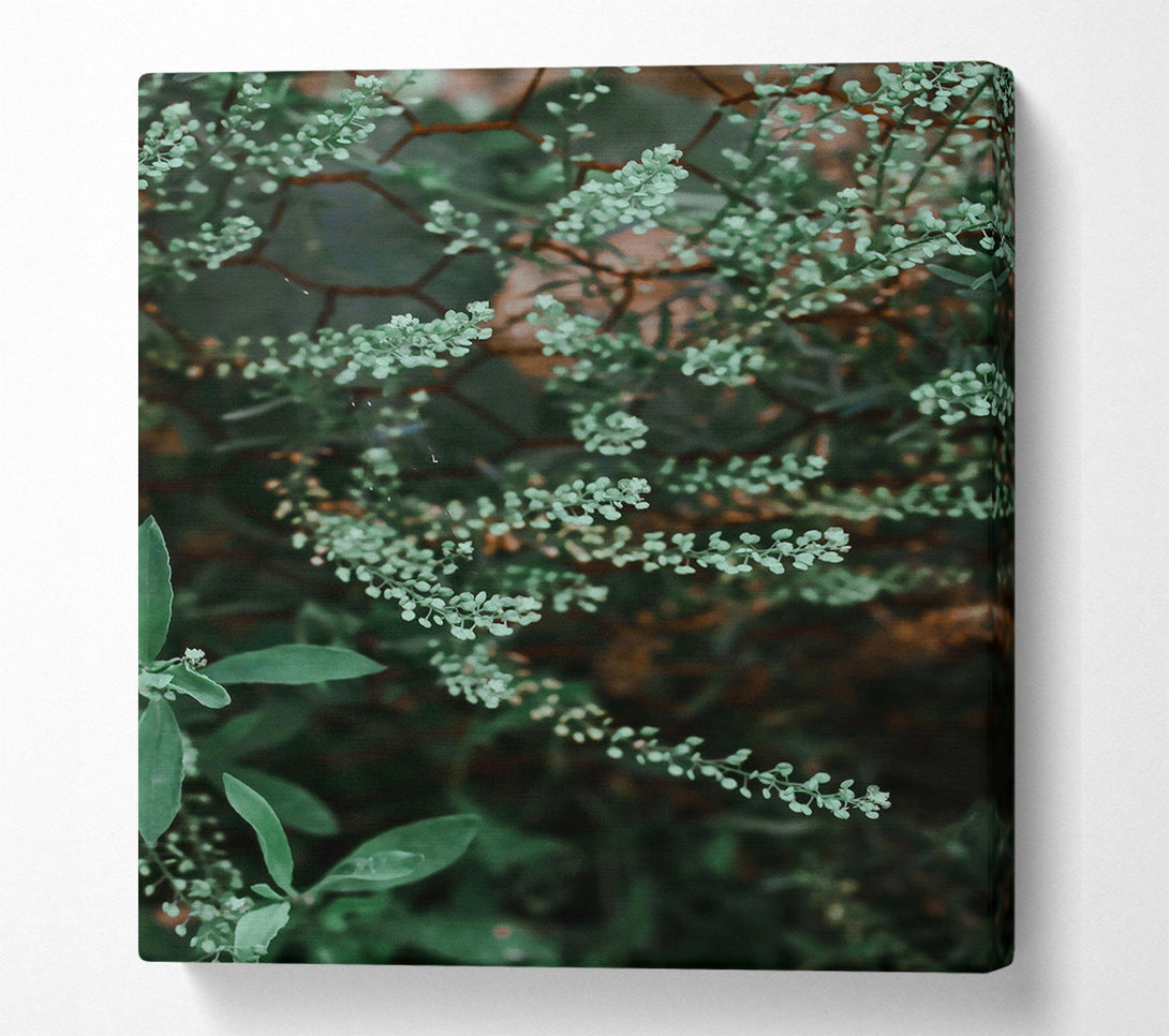  A Canvas Print of Green Blooms On Wire Canvas Art