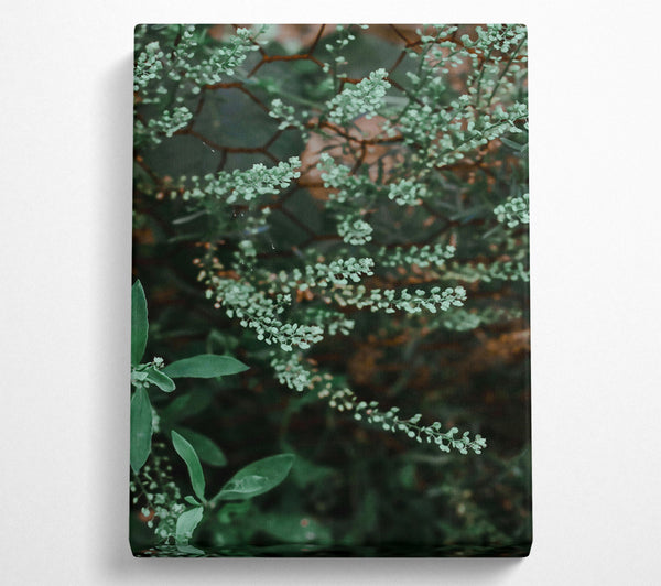  A Canvas Print of Green Blooms On Wire Canvas Art
