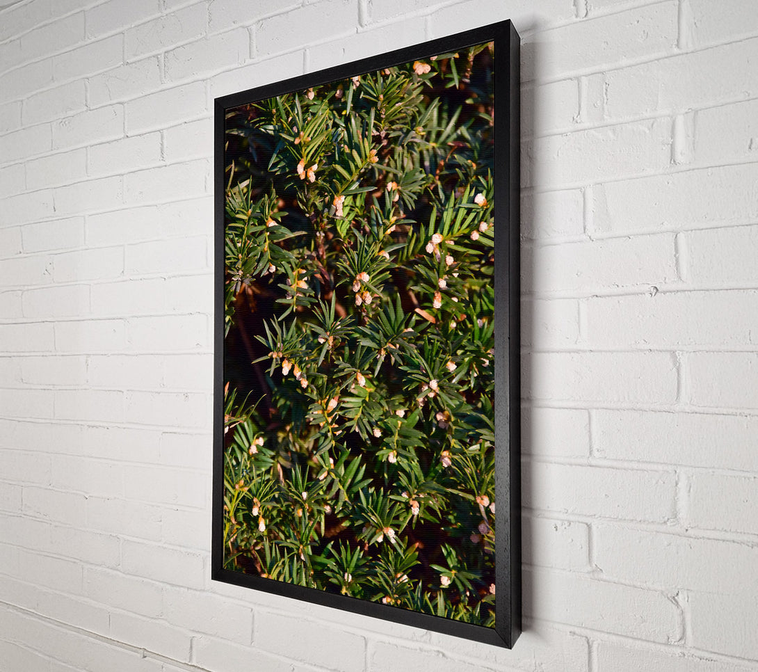  A Canvas Print of Green Spring Blossoms Canvas Art