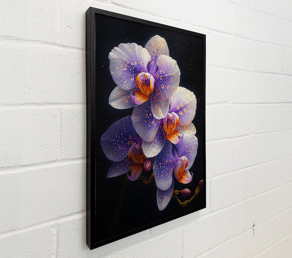Orchid Lilac Dream