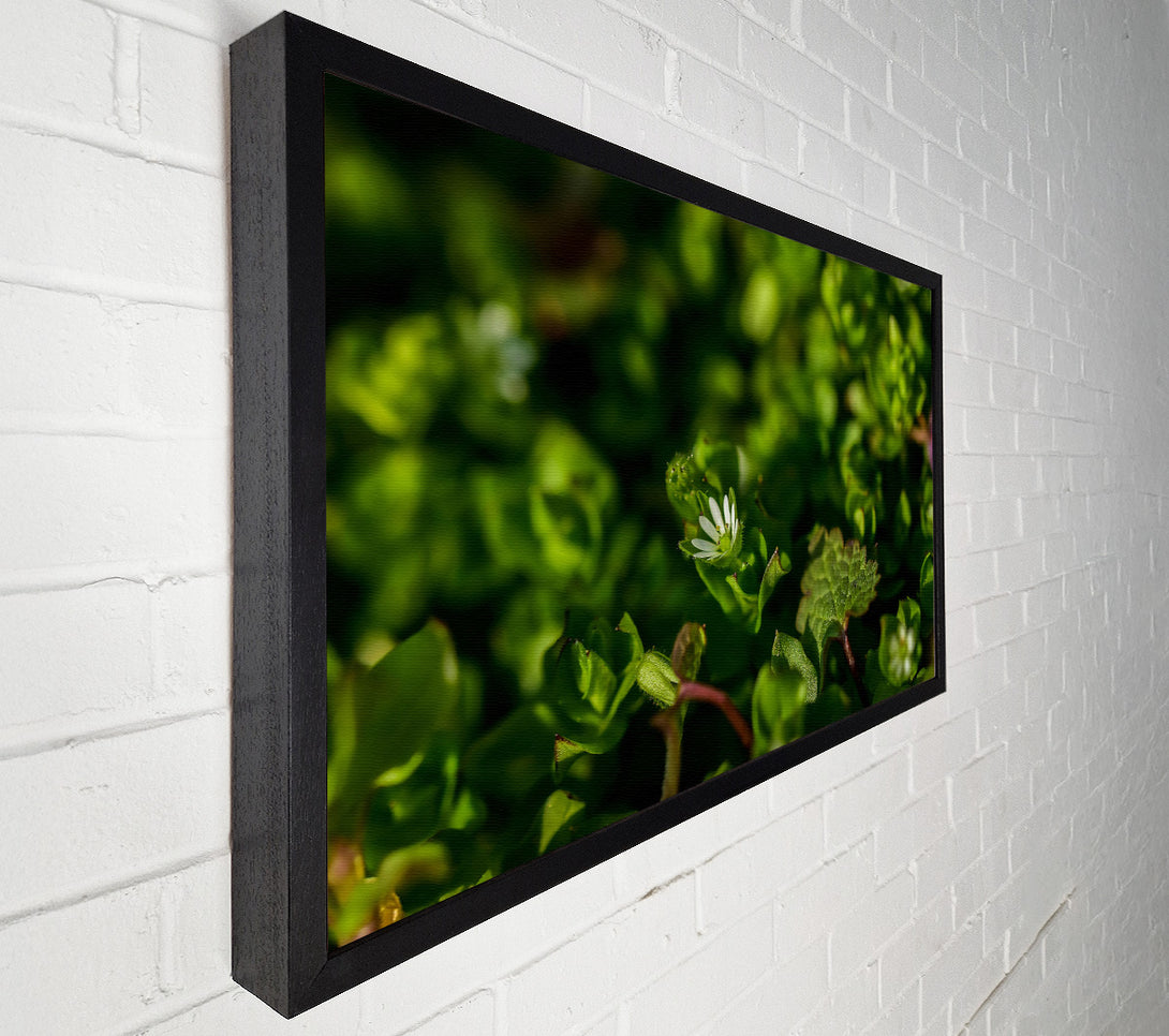  A Canvas Print of Green Bloom'S Whisper Canvas Wall Art