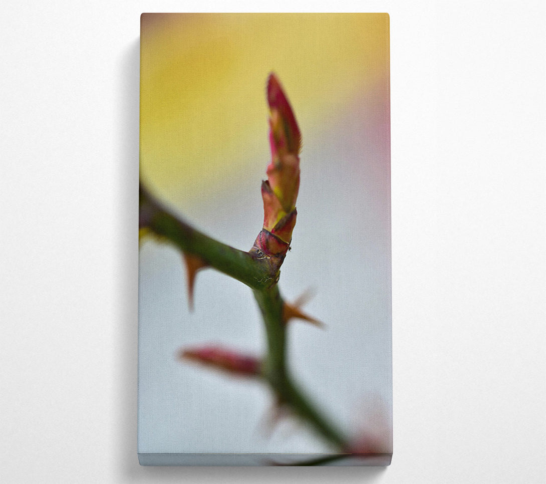  A Canvas Print of Red Rosebud Revival Canvas Wall Art