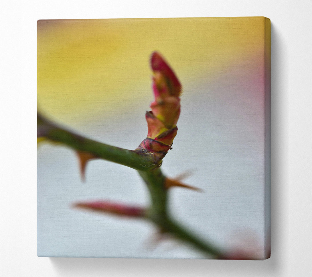  A Canvas Print of Red Rosebud Revival Canvas Wall Art