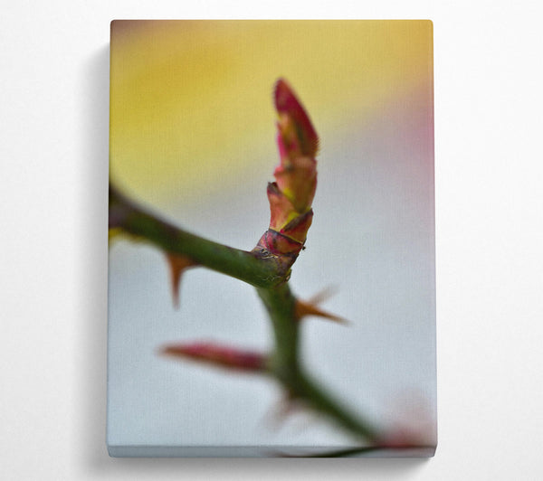  A Canvas Print of Red Rosebud Revival Canvas Wall Art