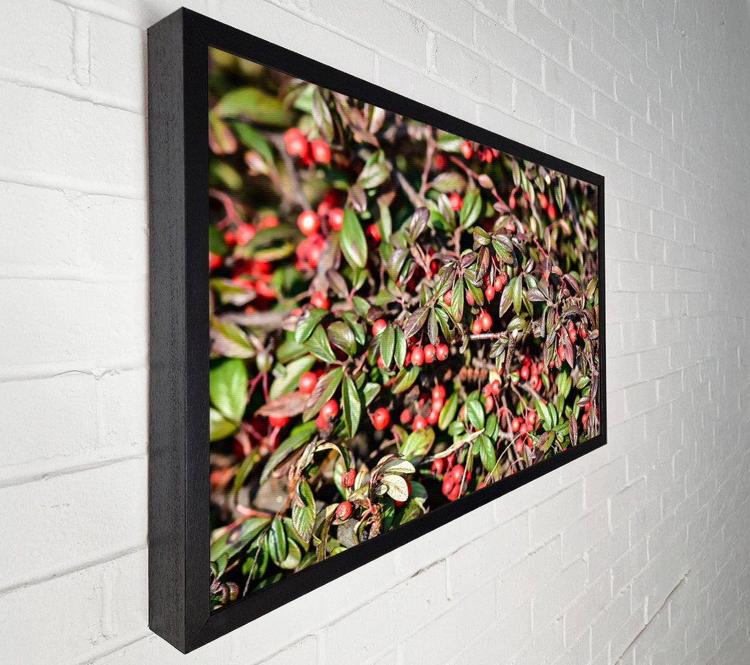  A Canvas Print of Red Berries And Green Leaves Canvas Wall Art