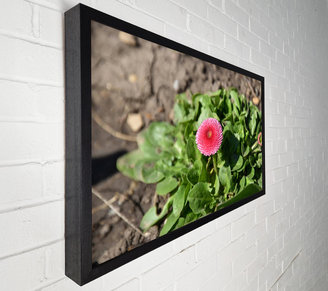  A Canvas Print of Pink Bloom In Spring Canvas Art
