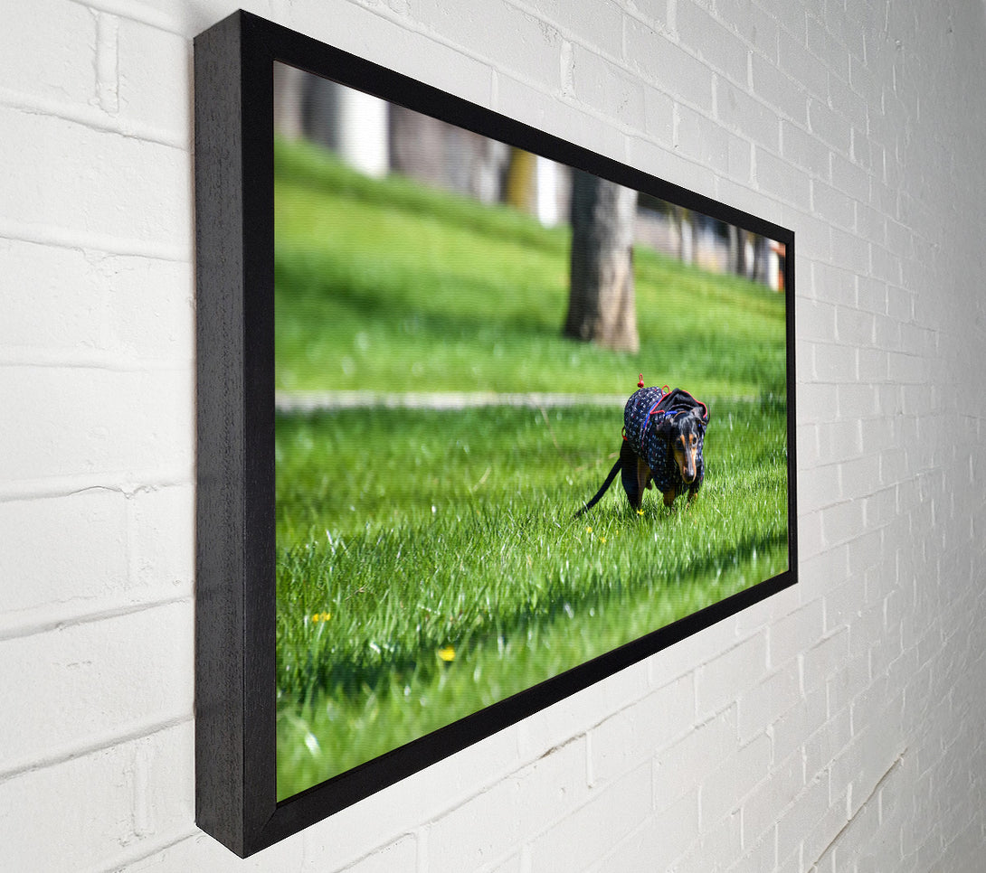  A Canvas Print of Green & Blue Dashing Dog Canvas Art