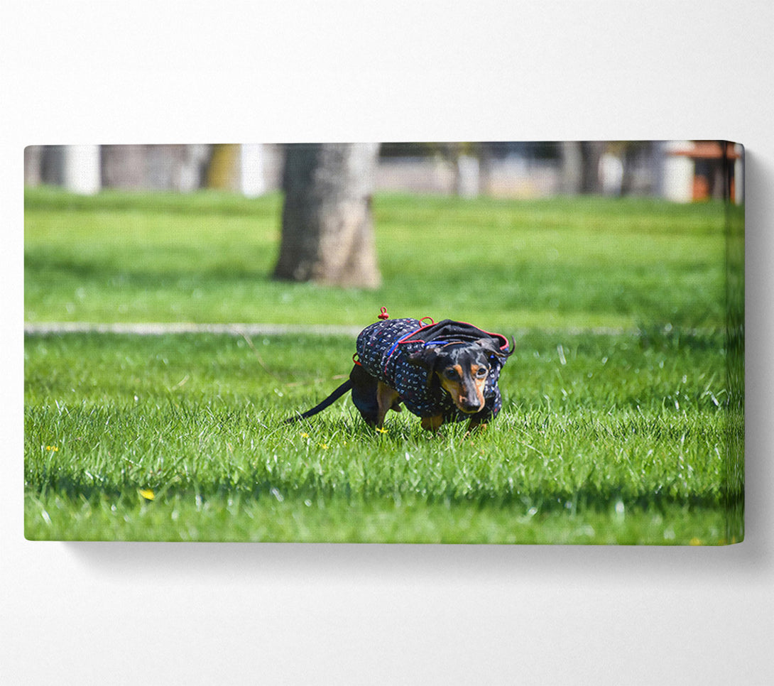  A Canvas Print of Green & Blue Dashing Dog Canvas Art
