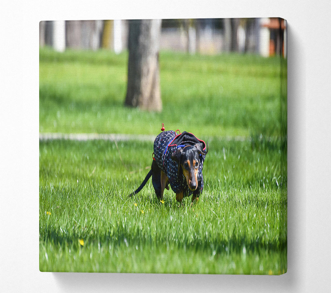  A Canvas Print of Green & Blue Dashing Dog Canvas Art