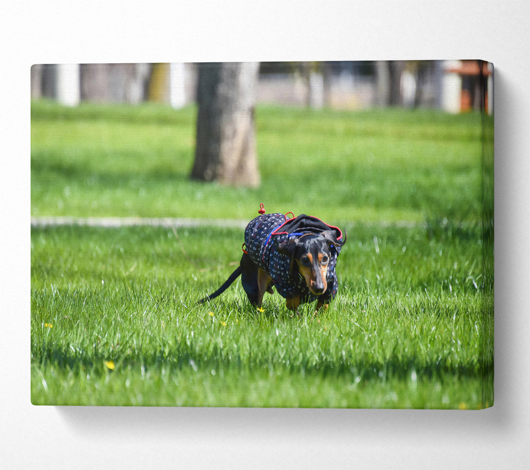  A Canvas Print of Green & Blue Dashing Dog Canvas Art