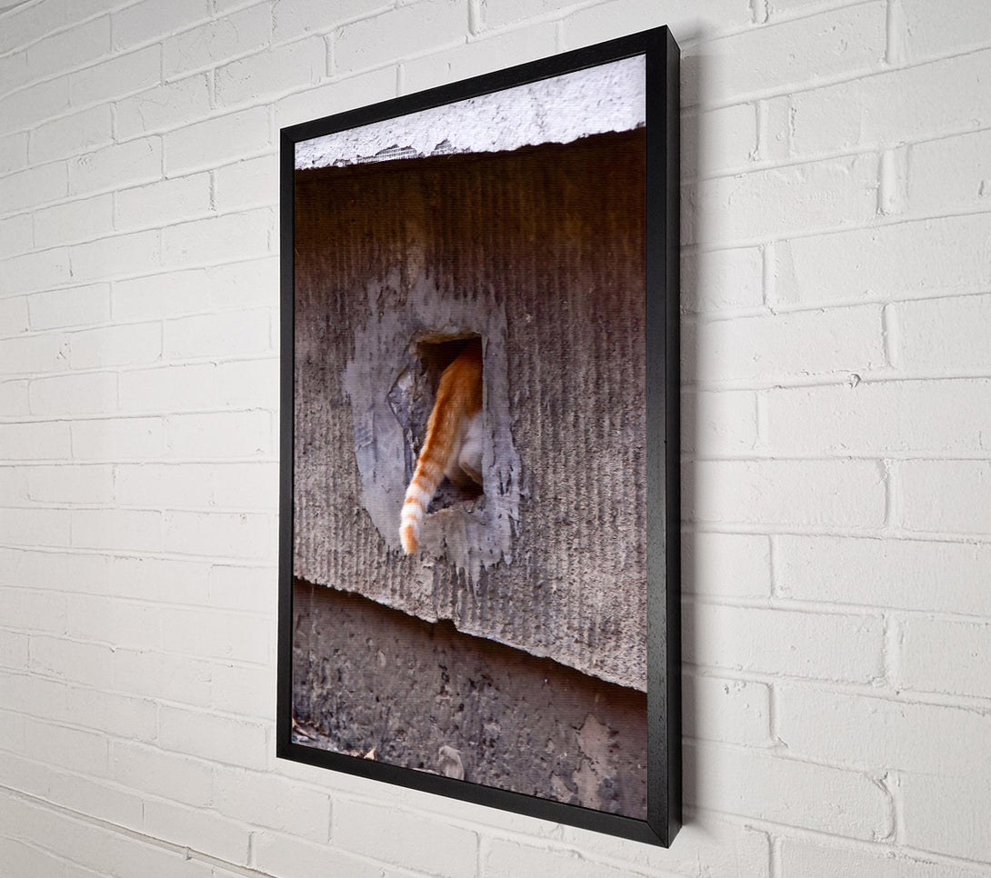 A Canvas Print of Orange Tail Escape Canvas Wall Art