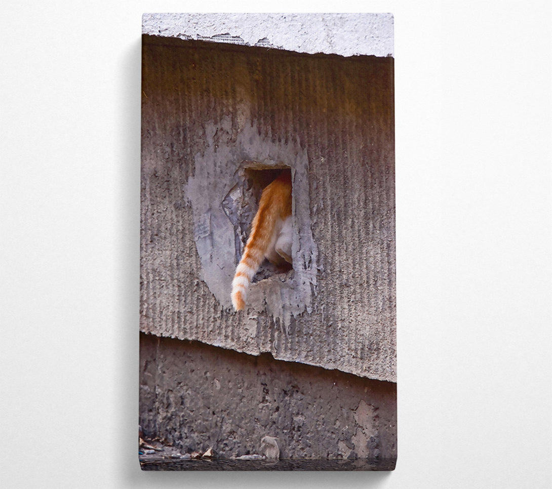  A Canvas Print of Orange Tail Escape Canvas Wall Art