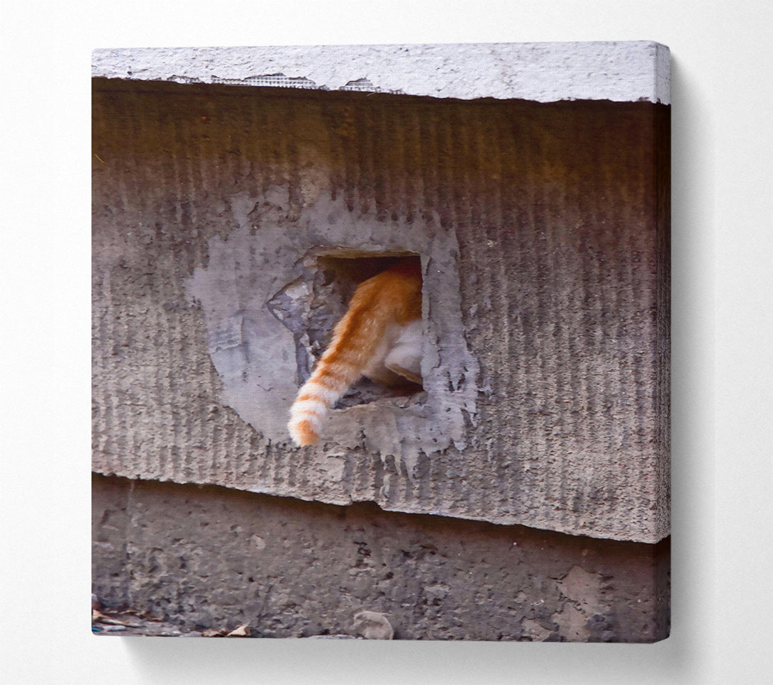  A Canvas Print of Orange Tail Escape Canvas Wall Art
