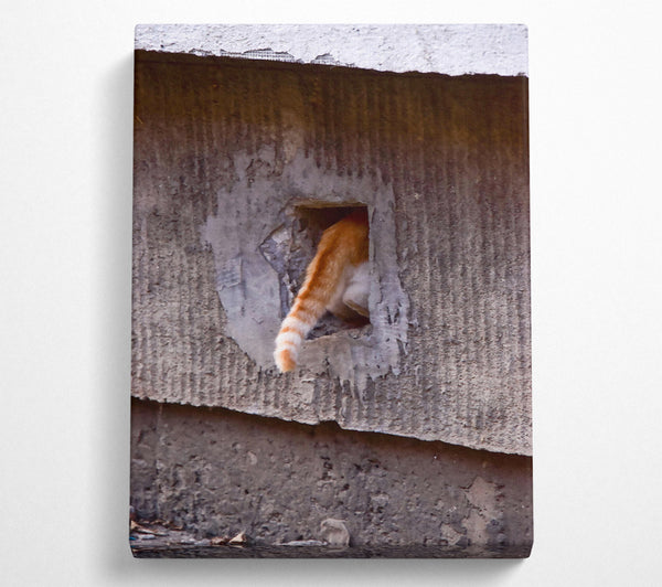  A Canvas Print of Orange Tail Escape Canvas Wall Art