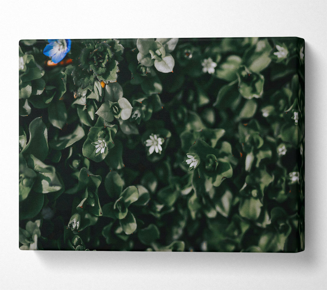  A Canvas Print of Emerald Green Bloom Canvas Wall Art