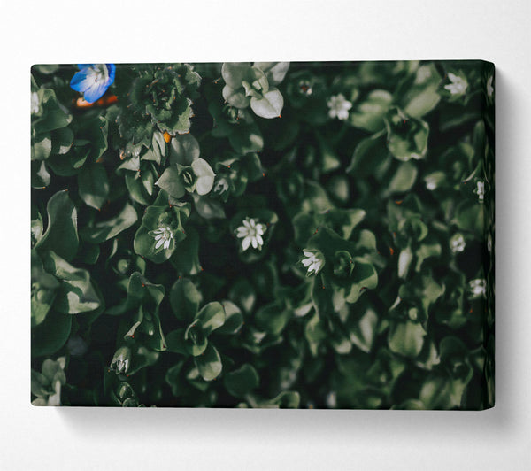  A Canvas Print of Emerald Green Bloom Canvas Wall Art