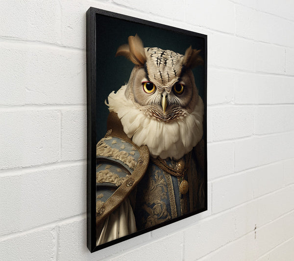 Owl Renaissance